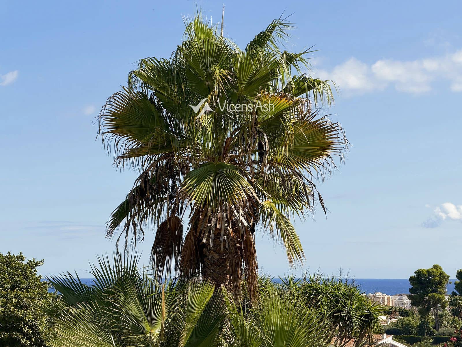 4 bedroom Villa for sale in Adsubia with pool garage - € 880,000 (Ref: 10158480)