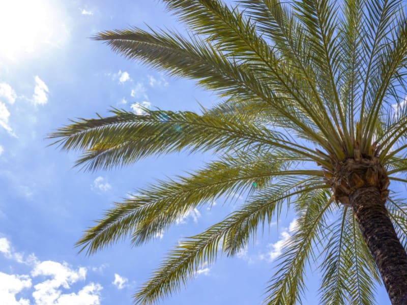 2 soverom Leilighet til salgs i Javea / Xabia med svømmebasseng garasje - € 410 000 (Ref: 8986268)