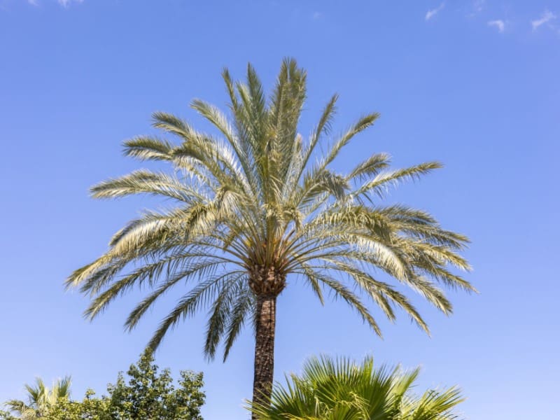 2 soverom Leilighet til salgs i Javea / Xabia med svømmebasseng garasje - € 410 000 (Ref: 8986268)