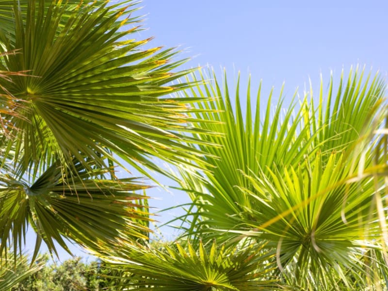 4 makuuhuone Huvila myytävänä paikassa Javea / Xabia mukana uima-altaan 
autotalli - 699 000 € (Ref: 8986270)