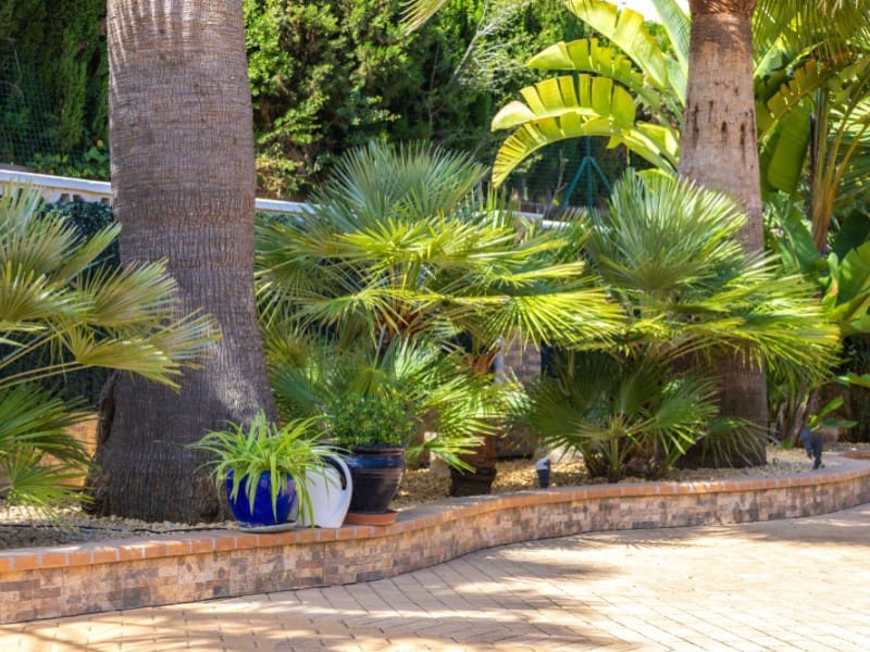 4 makuuhuone Huvila myytävänä paikassa Javea / Xabia mukana uima-altaan 
autotalli - 699 000 € (Ref: 8986270)