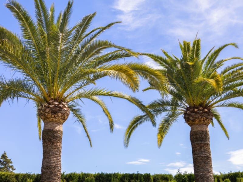 4 makuuhuone Huvila myytävänä paikassa Javea / Xabia mukana uima-altaan 
autotalli - 699 000 € (Ref: 8986270)