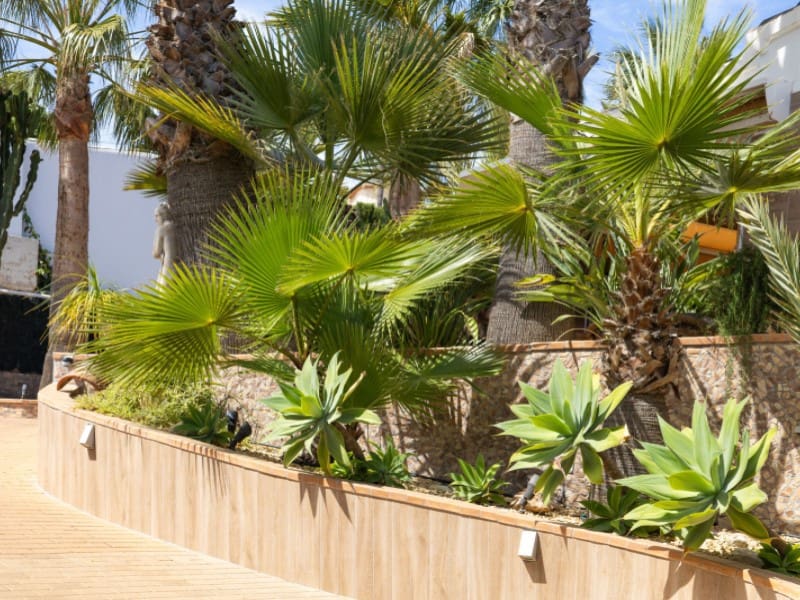 4 makuuhuone Huvila myytävänä paikassa Javea / Xabia mukana uima-altaan 
autotalli - 699 000 € (Ref: 8986270)