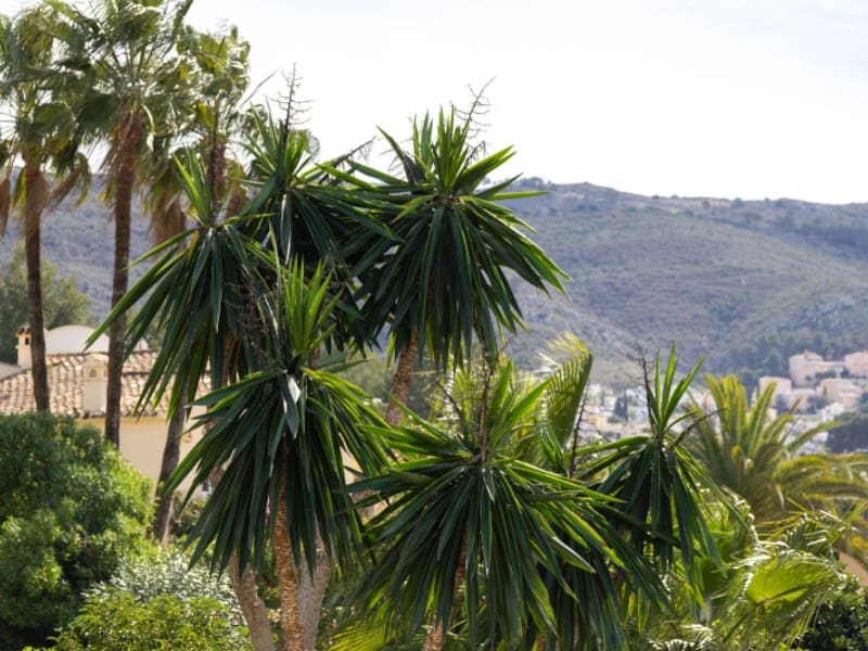 5 soveværelse Villa til salg i Javea / Xabia med swimmingpool garage - € 760.000 (Ref: 8986282)