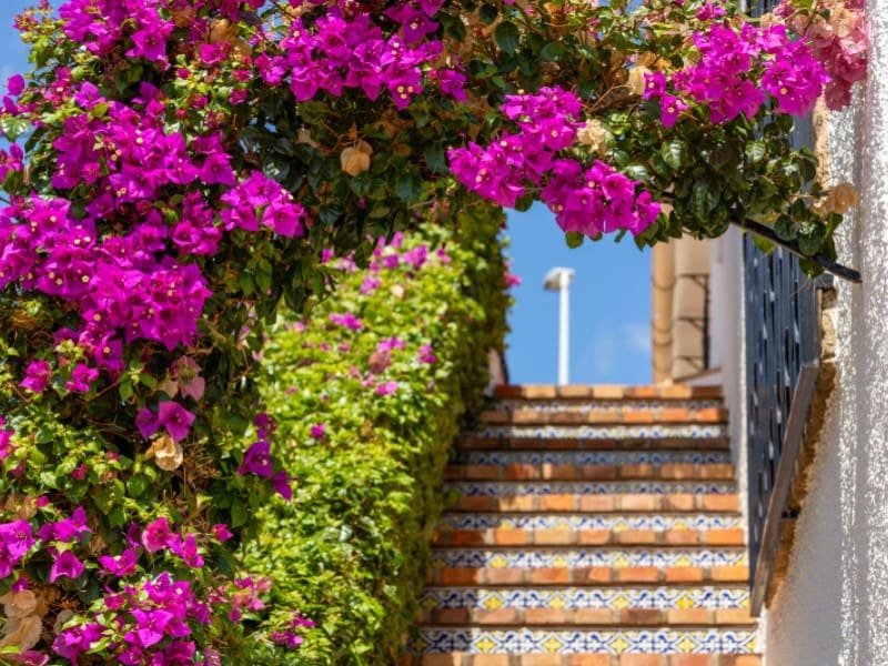 6 chambre Villa/Maison à vendre à Javea / Xabia avec piscine garage - 950 000 € (Ref: 8986300)