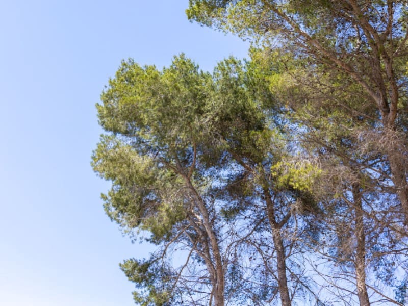 3 soveværelse Villa til salg i Javea / Xabia - € 599.000 (Ref: 9006259)