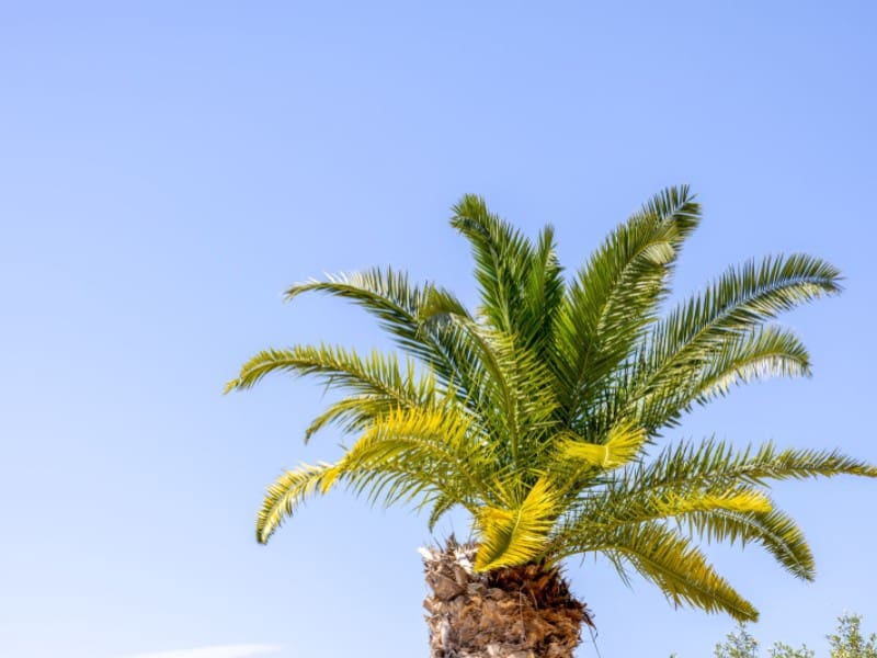 3 soveværelse Villa til salg i Javea / Xabia - € 599.000 (Ref: 9006259)