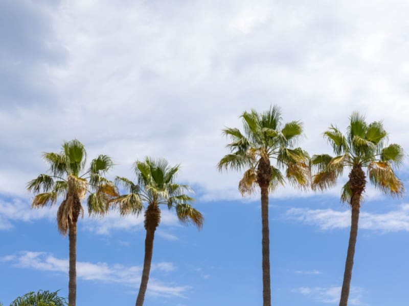 6 bedroom Villa for sale in Javea / Xabia with pool - € 995,000 (Ref: 9006260)