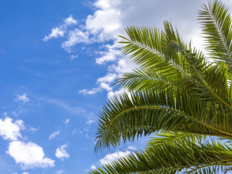 2 bedroom Villa for sale in Javea / Xabia with garage - € 515,000 (Ref: 9326699)