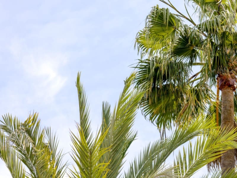 5 sovrum Villa till salu i Javea / Xabia med garage - 820 000 € (Ref: 9400781)