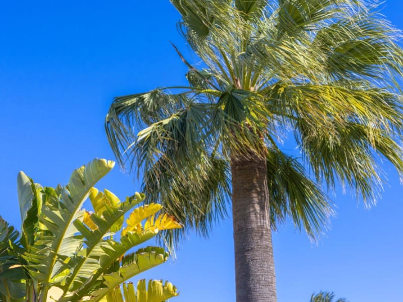 2 soveværelse Lejlighed til salg i Javea / Xabia med swimmingpool - € 370.000 (Ref: 9596242)