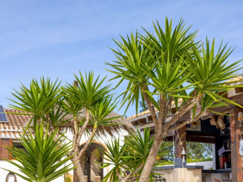 4 sypialnia Willa na sprzedaż w Javea / Xabia z basenem garażem - 1 595 000 € (Ref: 9627660)