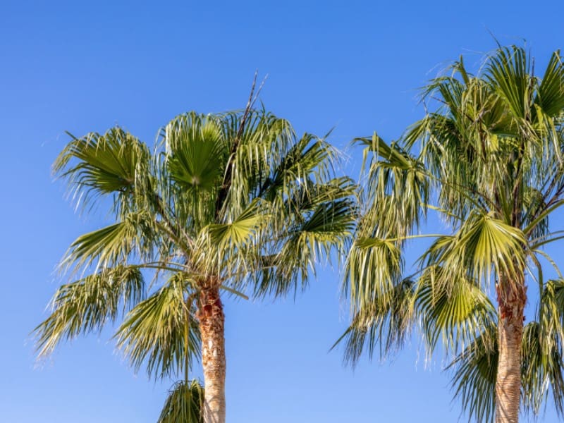 4 makuuhuone Huvila myytävänä paikassa Javea / Xabia mukana uima-altaan 
autotalli - 599 000 € (Ref: 9726721)