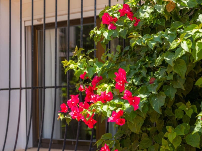 3 bedroom Townhouse for sale in Javea / Xabia - € 495,000 (Ref: 9726723)