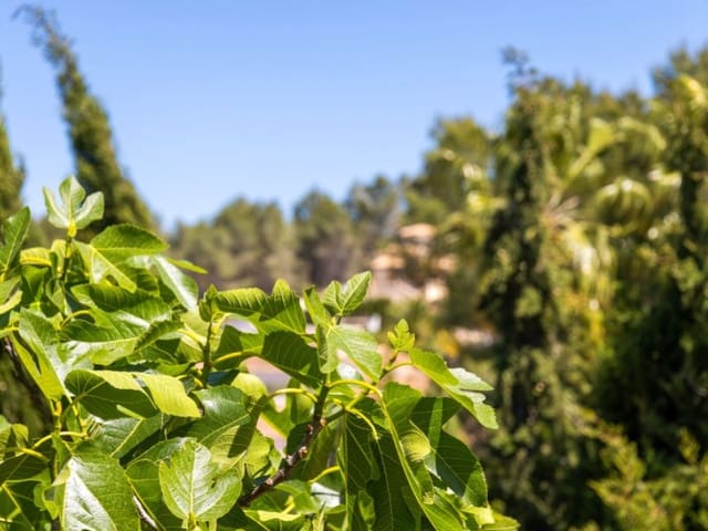 Chalet de 3 habitaciones en Partides comunes - Adsubia, Javea / Xàbia en venta con piscina - 525.000 € (Ref: 9796989)