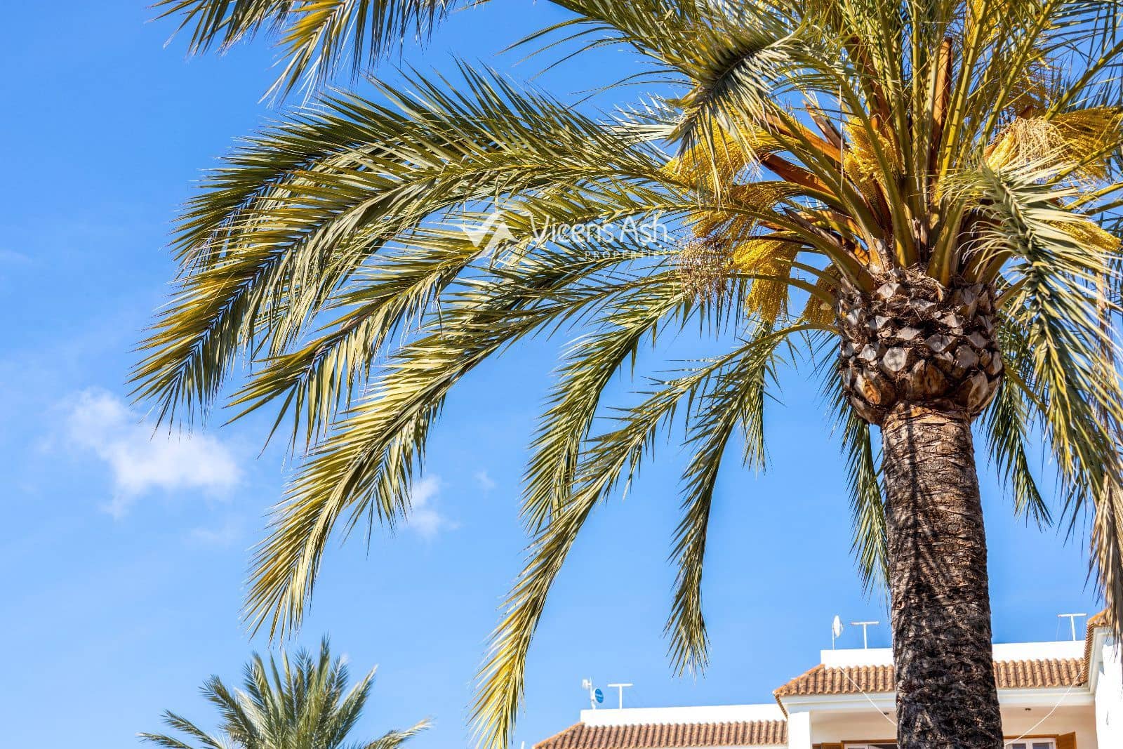 2 bedroom Flat for sale in Javea / Xabia with pool - € 360,000 (Ref: 9863568)