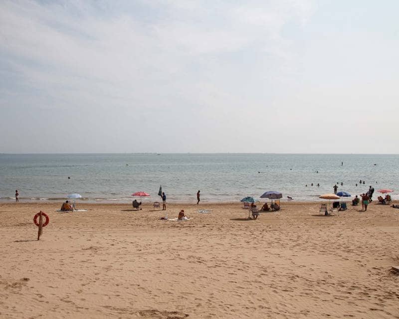 3 sypialnia Willa na sprzedaż w Los Montesinos z basenem - 439 000 € (Ref: 5639803)