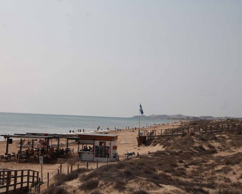 3 sypialnia Willa na sprzedaż w Los Montesinos z basenem - 439 000 € (Ref: 5639803)