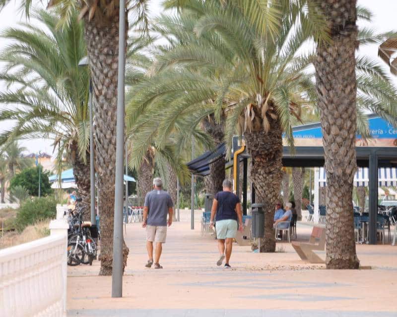 2 chambre Appartement à vendre à Pilar de la Horadada avec piscine garage - 329 900 € (Ref: 8681173)