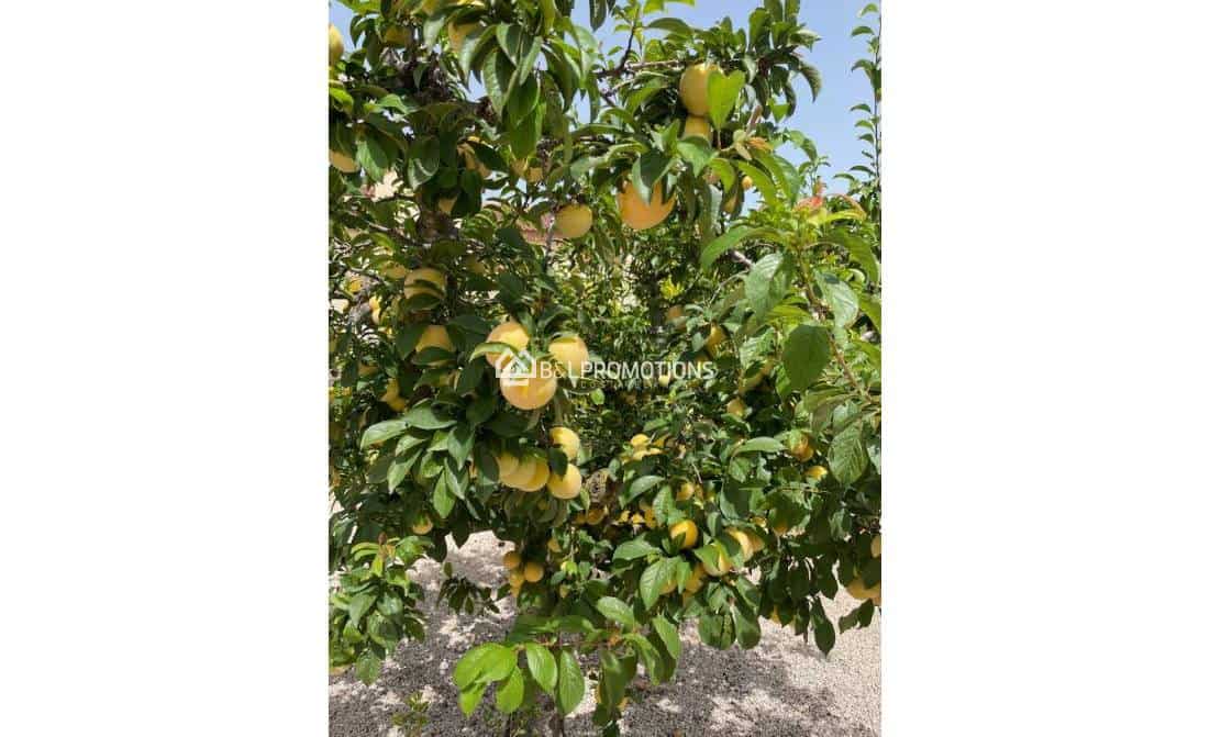 3 bedroom Villa for sale in Algorfa with pool garage - € 520,000 (Ref: 8971331)