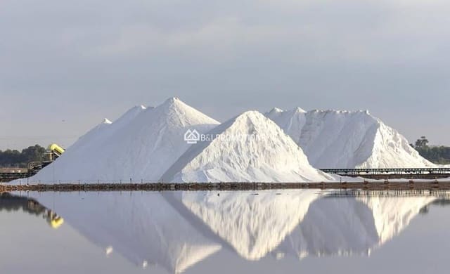 Chalet de 3 habitaciones en Algorfa en venta con piscina garaje - 445.000 € (Ref: 8997711)