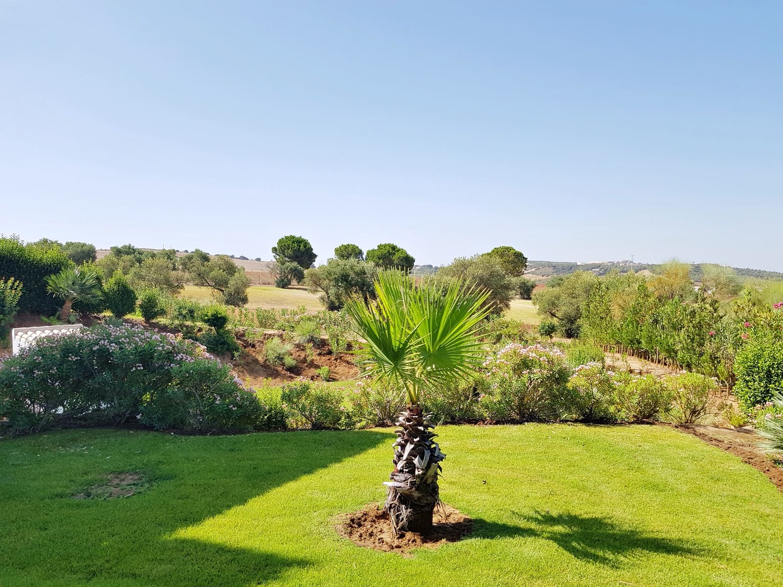 6 soveværelse Villa til salg i Arcos de la Frontera med swimmingpool garage - € 795.000 (Ref: 6242454)