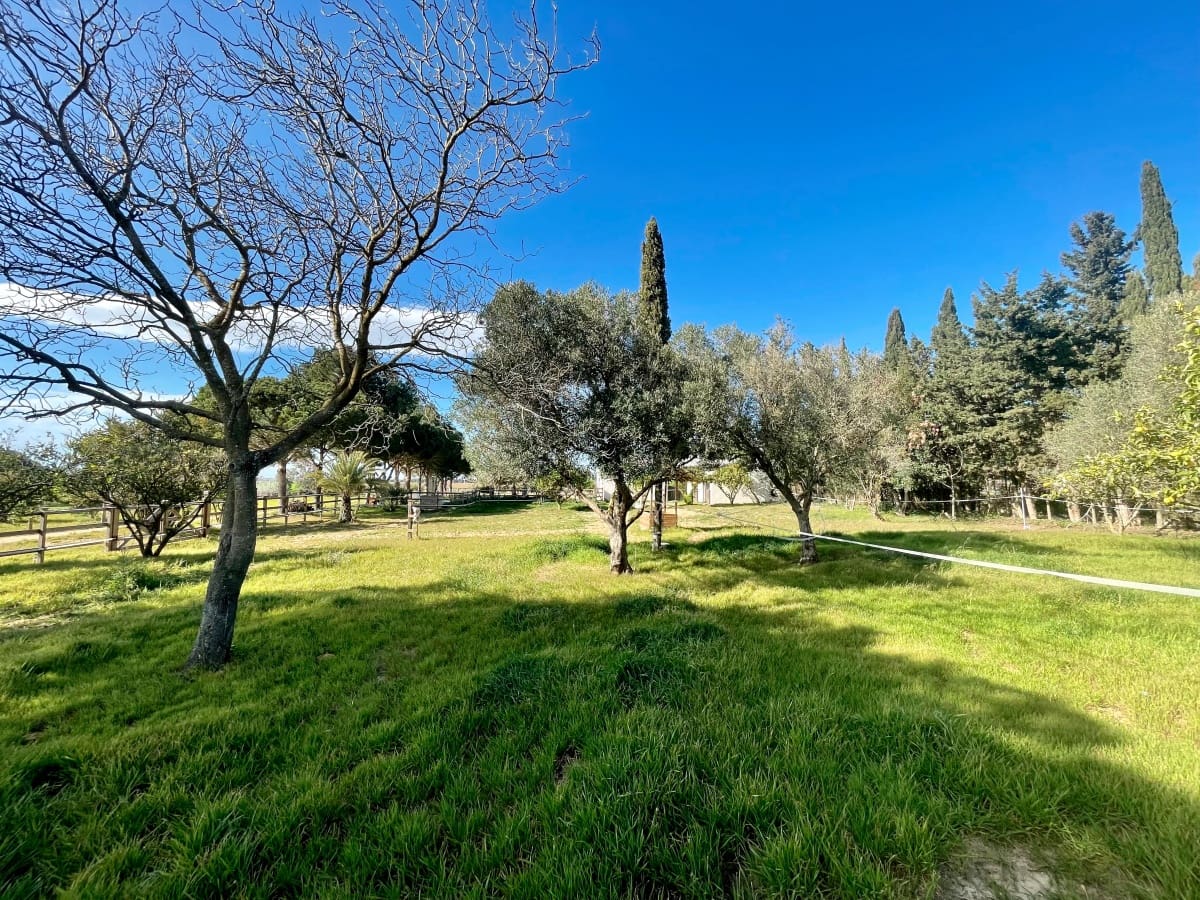 2 soveværelse Villa til salg i Chiclana de la Frontera med swimmingpool - € 490.000 (Ref: 7430799)