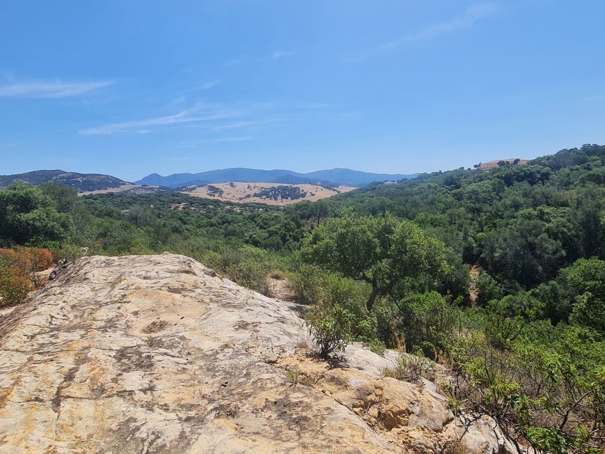 4 soveværelse Finca/Landehus til salg i Alcala de los Gazules med garage - € 590.000 (Ref: 8370380)