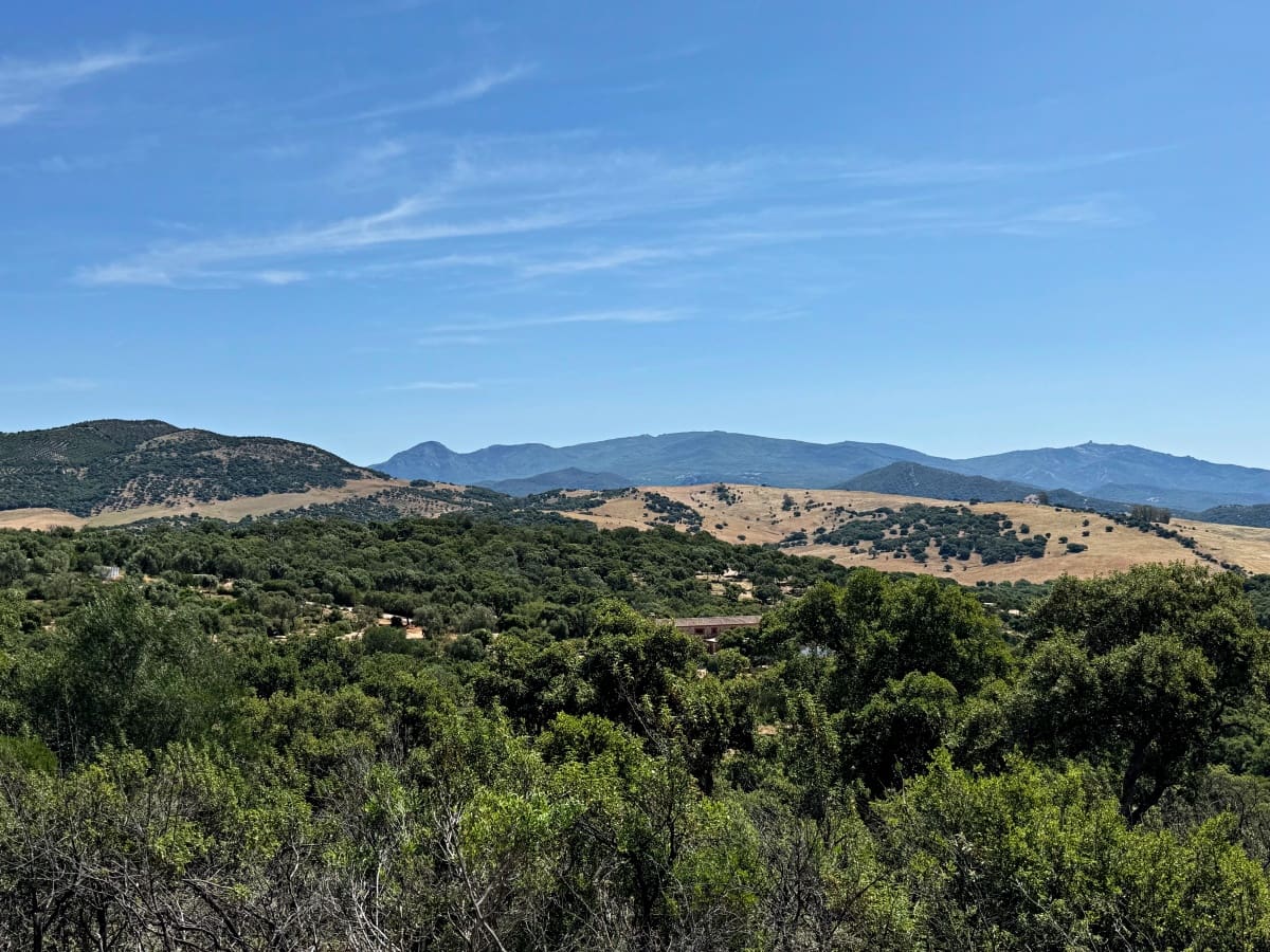 4 soveværelse Finca/Landehus til salg i Alcala de los Gazules med garage - € 590.000 (Ref: 8370380)