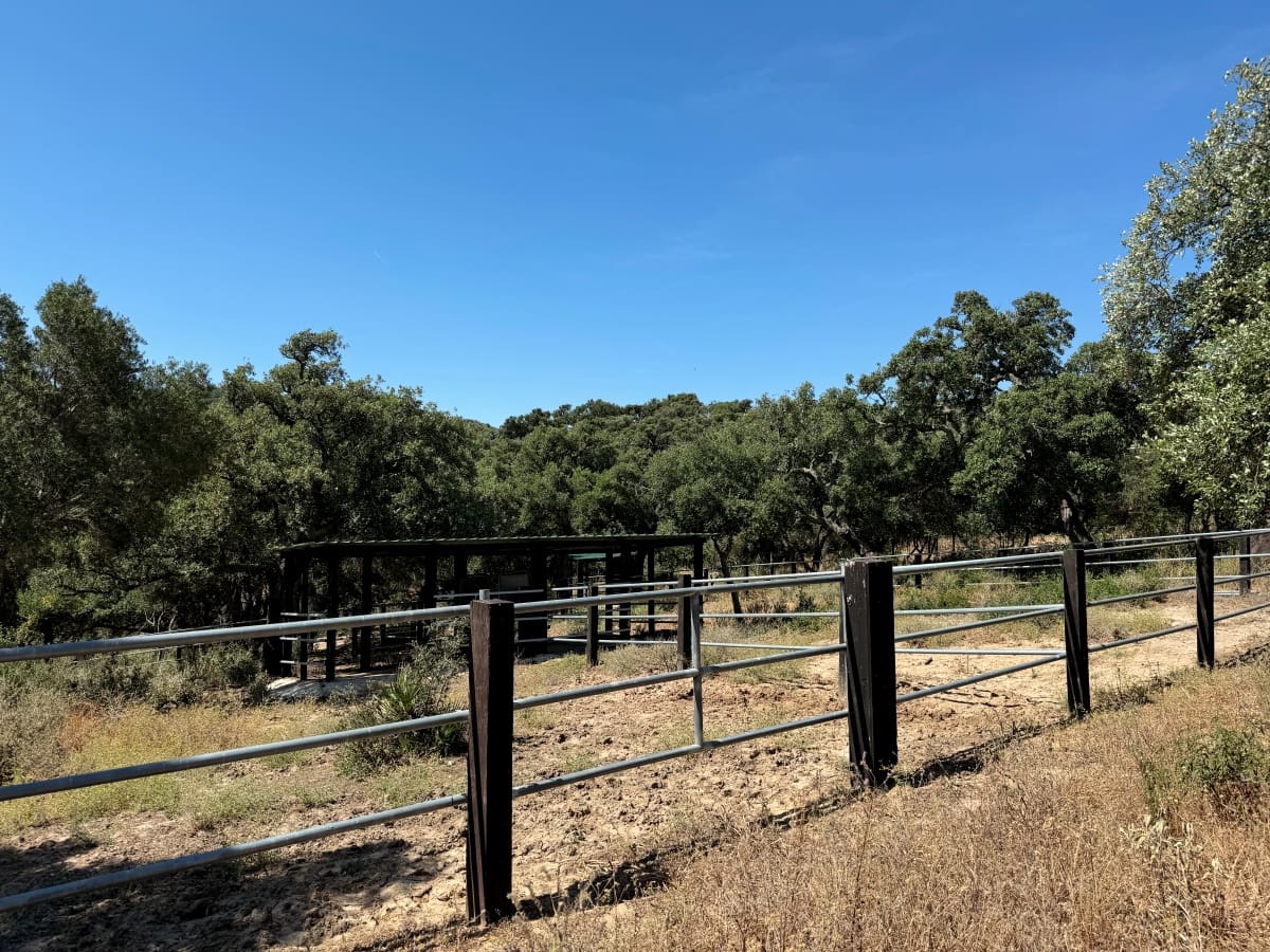 4 soveværelse Finca/Landehus til salg i Alcala de los Gazules med garage - € 590.000 (Ref: 8370380)