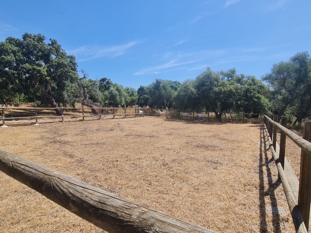 4 soveværelse Finca/Landehus til salg i Alcala de los Gazules med garage - € 590.000 (Ref: 8370380)