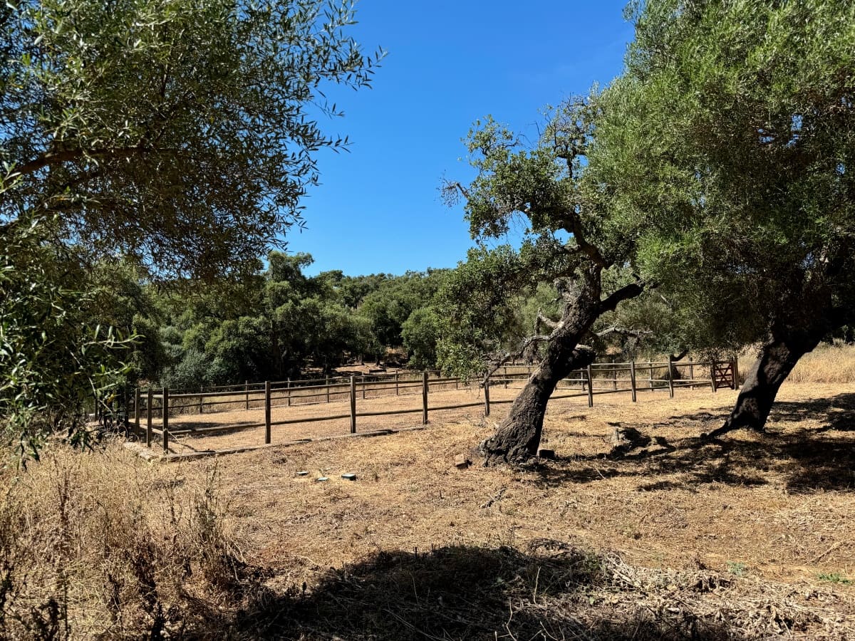 4 soveværelse Finca/Landehus til salg i Alcala de los Gazules med garage - € 590.000 (Ref: 8370380)