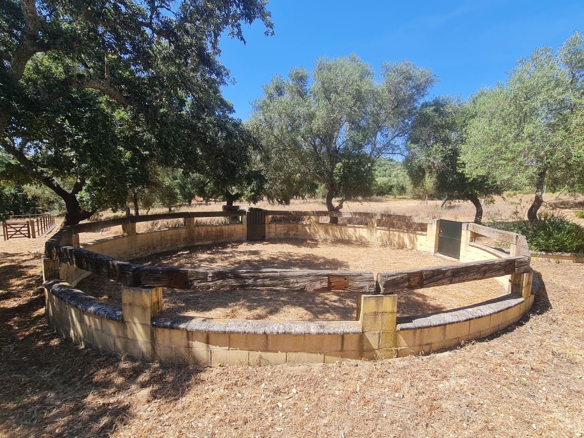 4 soveværelse Finca/Landehus til salg i Alcala de los Gazules med garage - € 590.000 (Ref: 8370380)