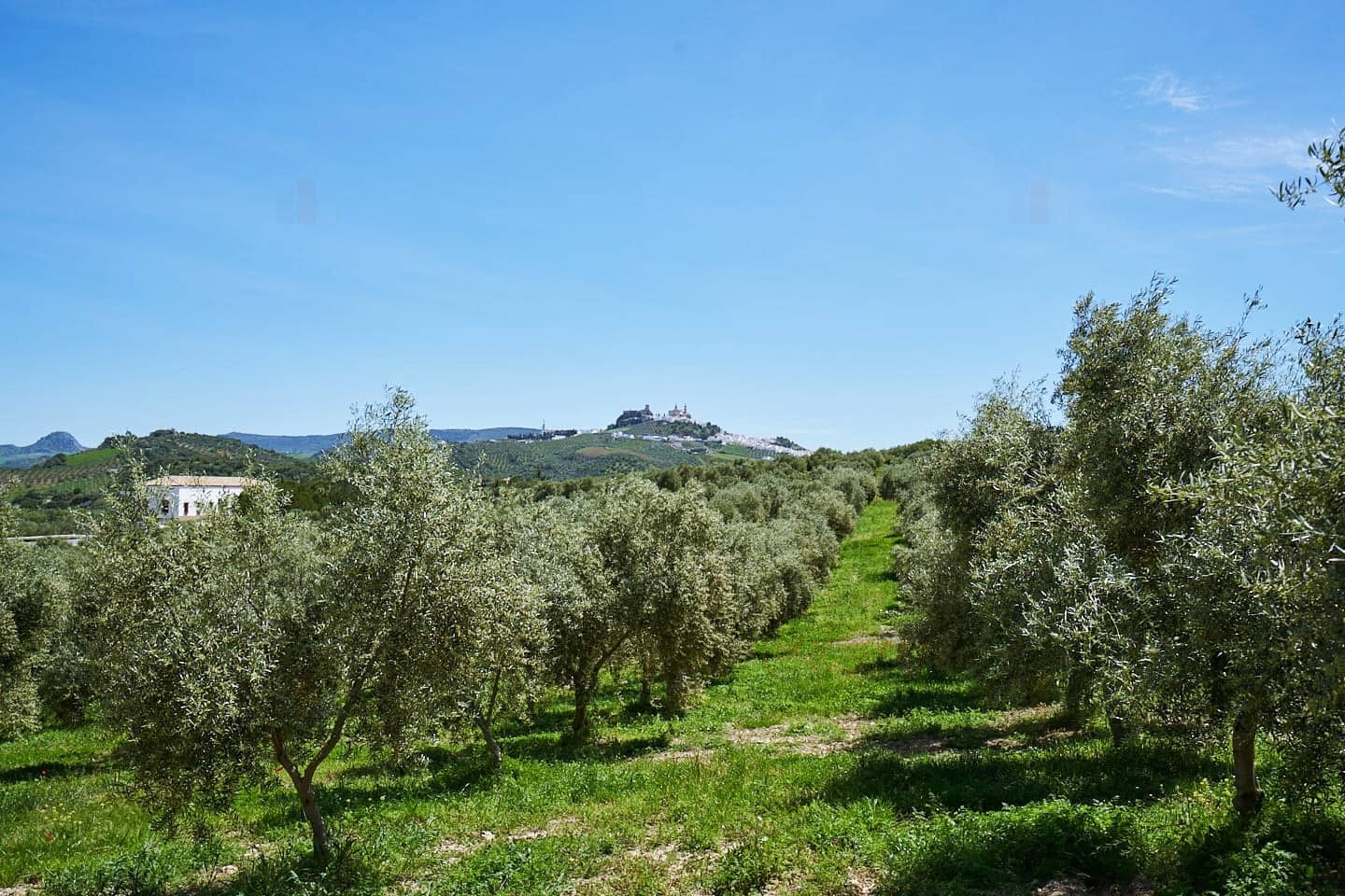 6 soveværelse Finca/Landehus til salg i Olvera med swimmingpool garage - € 450.000 (Ref: 8710536)