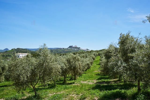 6 camera da letto Finca/Casa di Campagna in vendita in Olvera con piscina garage - 450.000 € (Rif: 8710536)