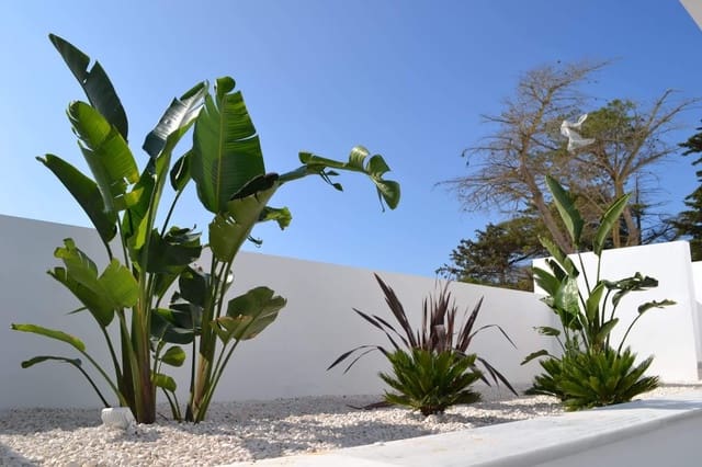 4 soveværelse Villa til salg i Conil de la Frontera med swimmingpool garage - € 1.005.000 (Ref: 9144072)