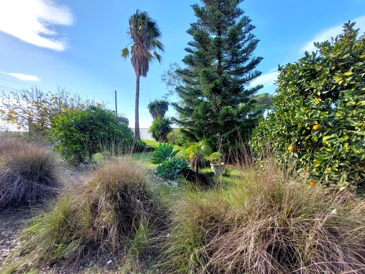 3 quarto Moradia para venda em Chiclana de la Frontera com piscina garagem - 449 795 € (Ref: 9468972)