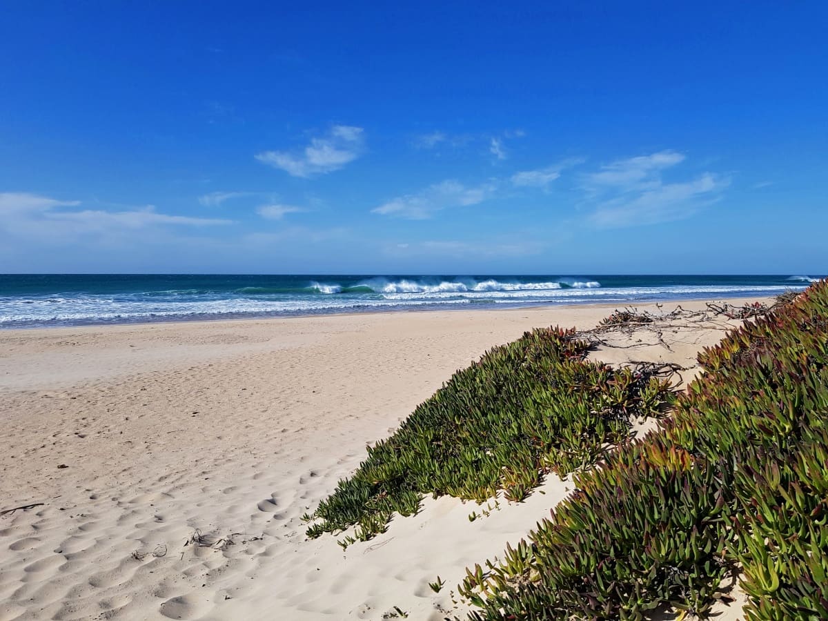 3 bedroom Villa for sale in Conil de la Frontera with pool garage - € 425,000 (Ref: 9489853)