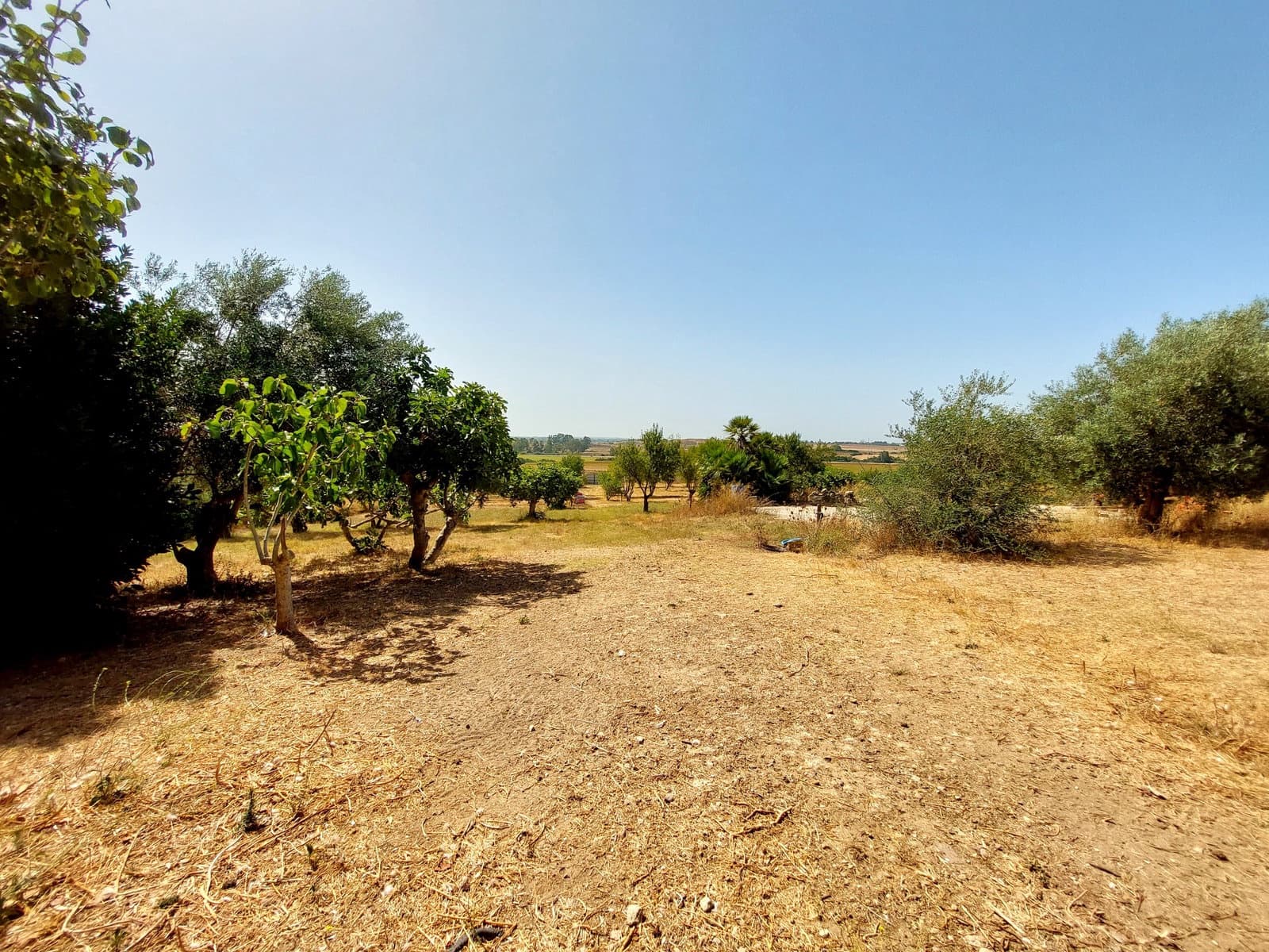 3 sovrum Finca/Hus på landet till salu i Chiclana de la Frontera med pool garage - 490 000 € (Ref: 9980523)