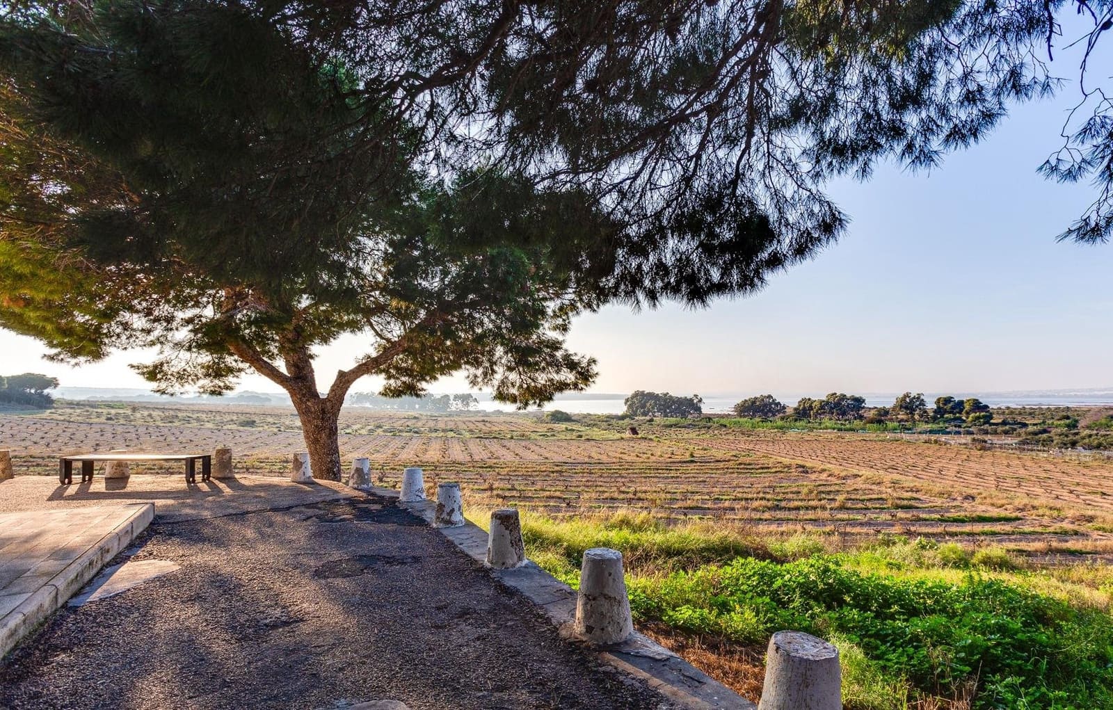 2 sovrum Lägenhet till salu i La Mata - 174 996 € (Ref: 10029620)