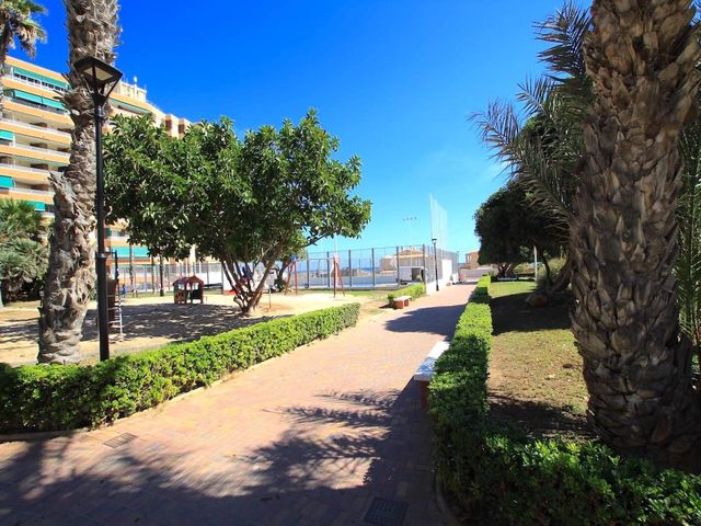 3 soverom Leilighet til salgs i Gaspar Perelló, Torrevieja - € 168 000 (Ref: 10101301)