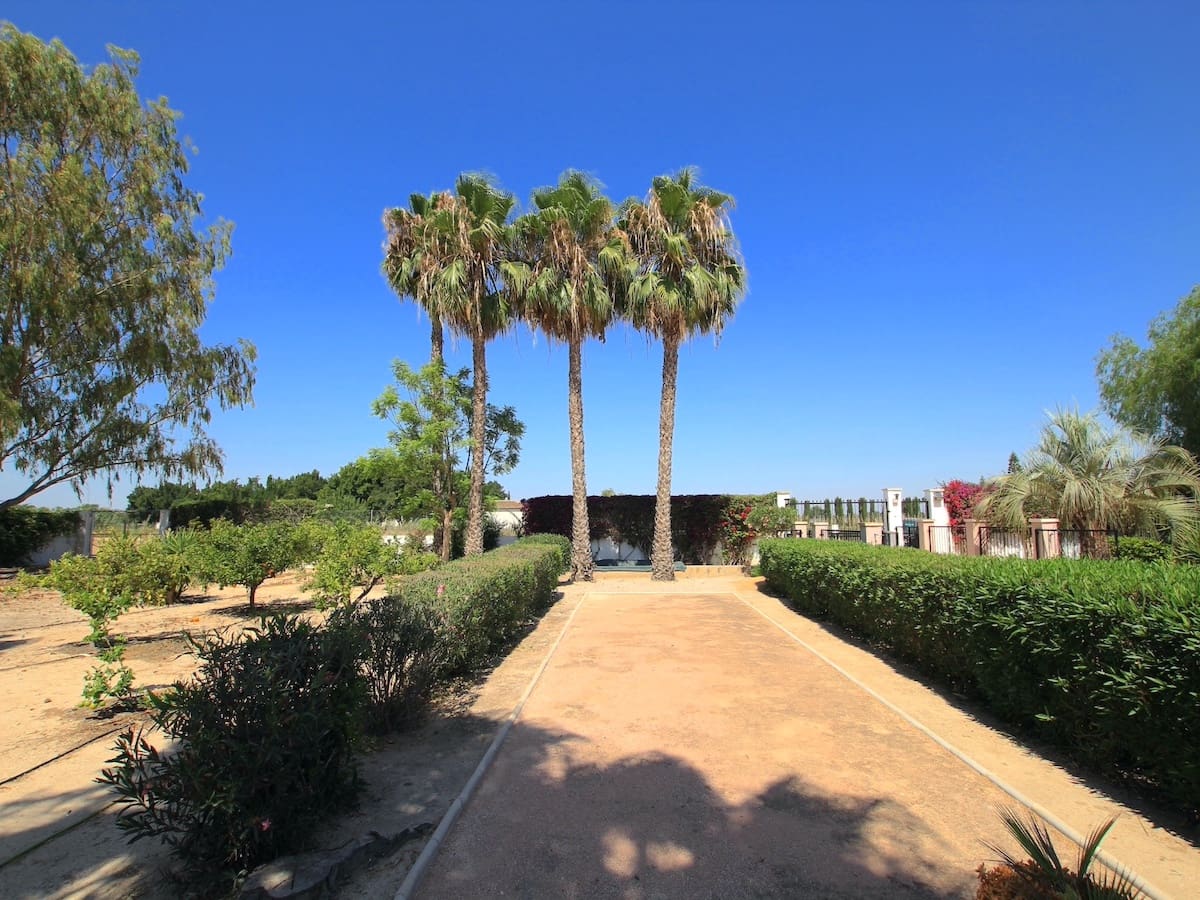 3 slaapkamer Finca/Landhuis te koop in Daya Vieja met zwembad - € 420.000 (Ref: 8439677)