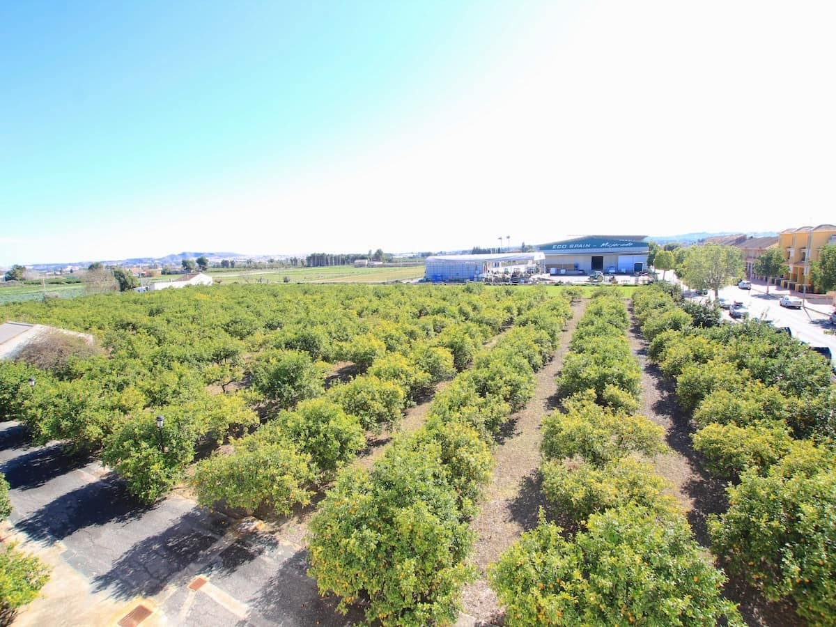 2 Zimmer Apartment zu verkaufen in Daya Nueva - 110.000 € (Ref: 9580430)