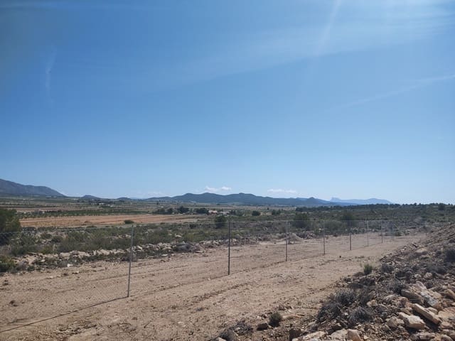 3 makuuhuone Huvila myytävänä paikassa Pinoso mukana uima-altaan 
autotalli - 360 000 € (Ref: 9093201)