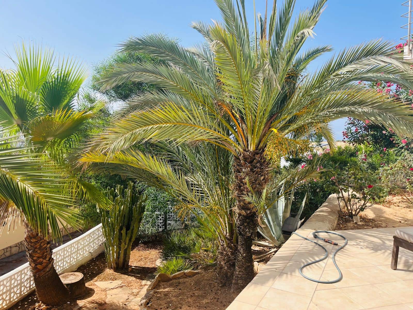 7 soveværelse Villa til salg i Moraira med swimmingpool garage - € 995.000 (Ref: 9175869)