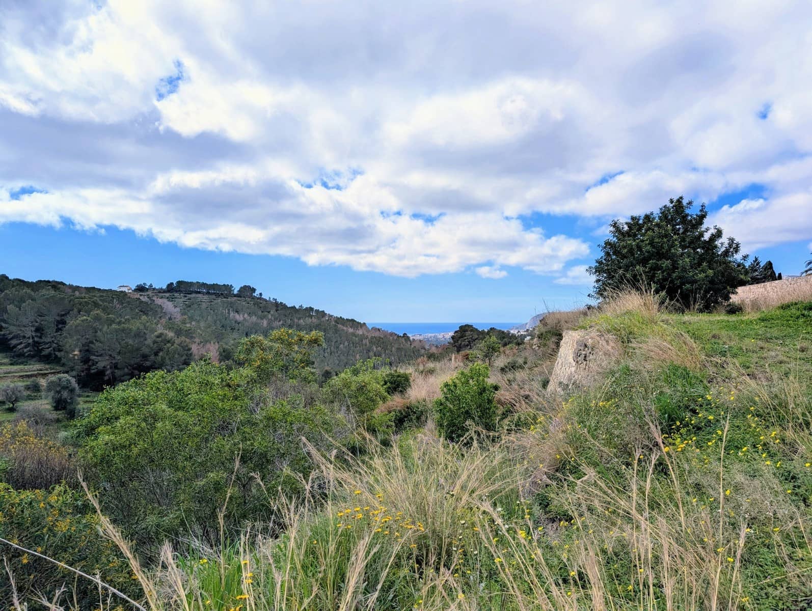 Ruin til salg i Benissa - € 999.000 (Ref: 9182487)