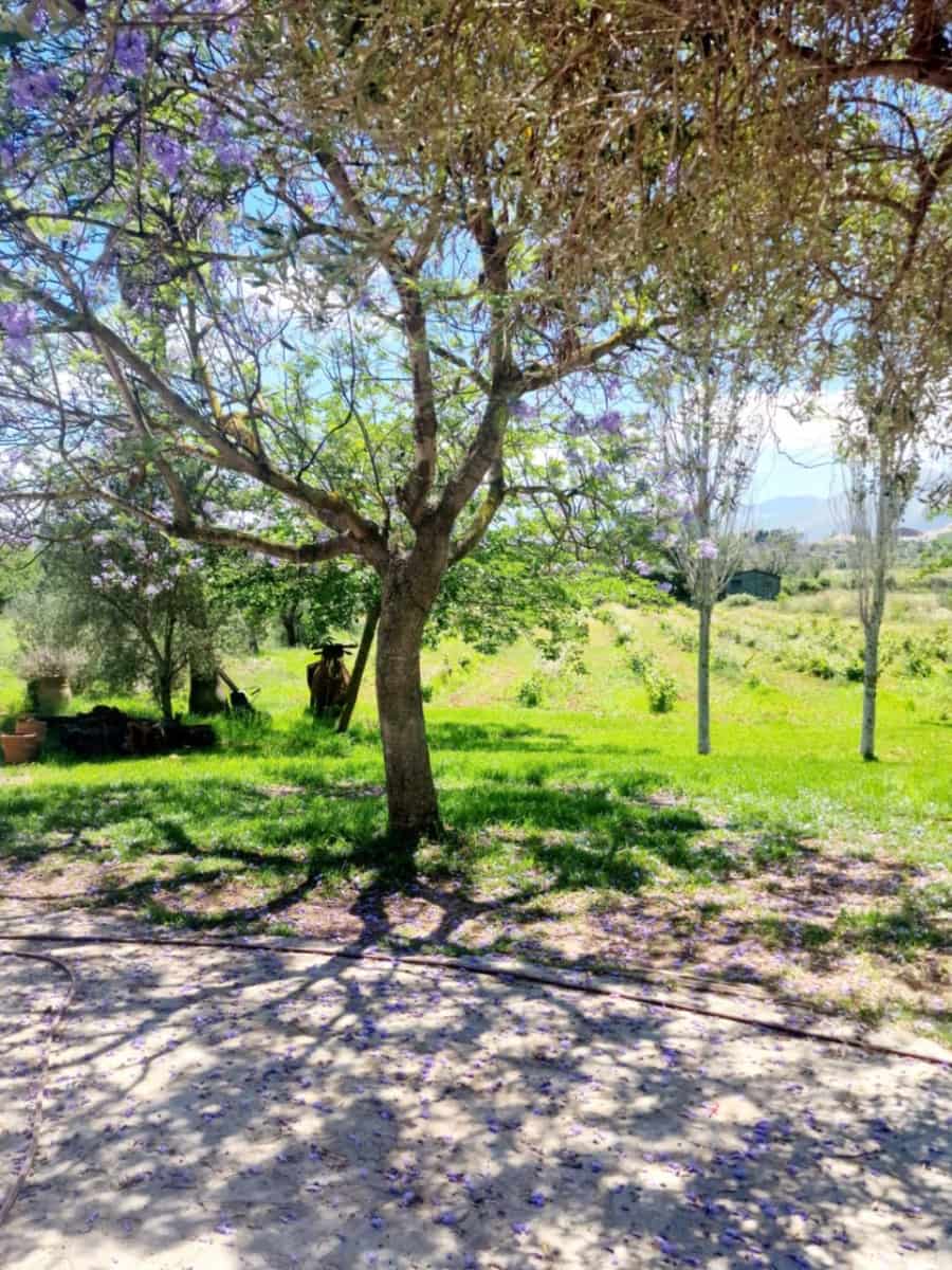 4 soverom Finca/Herregård til salgs i Senija med svømmebasseng garasje - € 1 295 000 (Ref: 9182548)