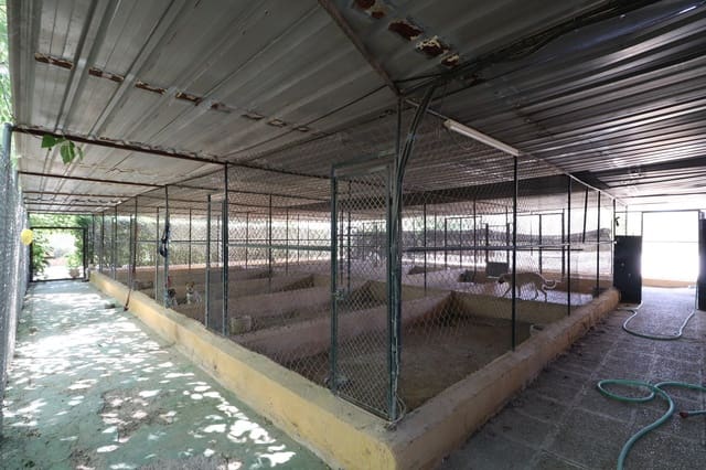 3 soveværelse Finca/Landehus til salg i Sangonera la Seca, Murcia by med swimmingpool garage - € 795.000 (Ref: 9182596)