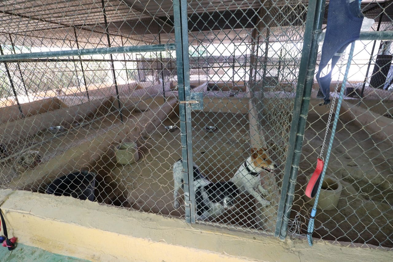 3 soveværelse Finca/Landehus til salg i Sangonera la Seca med swimmingpool garage - € 795.000 (Ref: 9182596)