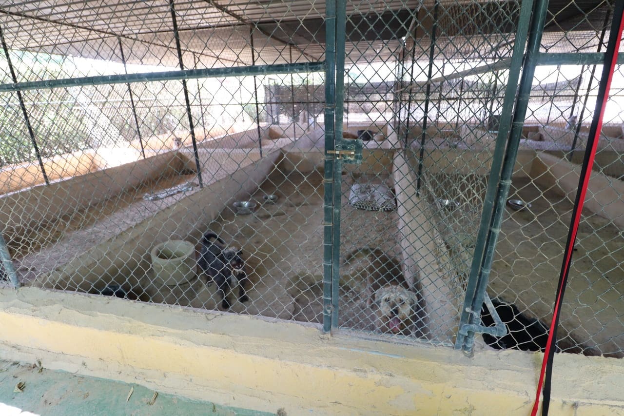 3 soveværelse Finca/Landehus til salg i Sangonera la Seca med swimmingpool garage - € 795.000 (Ref: 9182596)